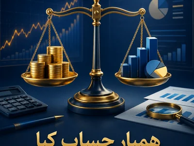 انجام خدمات مروبط به حوزه مالی 0 تا 100